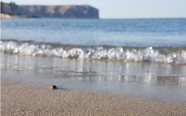 ACOGEDOR Y PRECIOSO ÁTICO EN JAVEA Primera línea playa Bagian luar foto